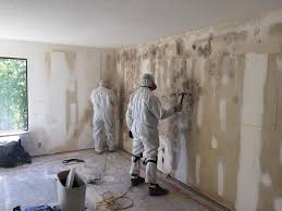 Best Mold Damage Restoration  in Boulder City, NV